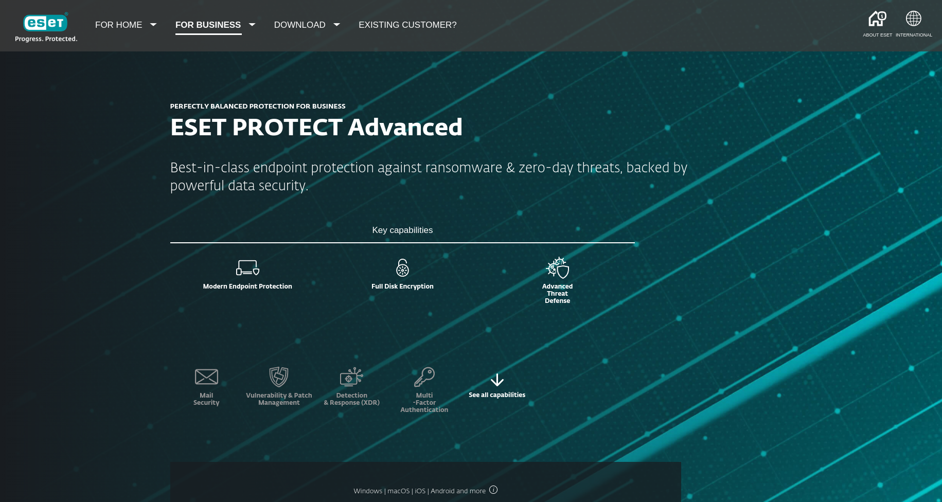 ESET Advanced Protection Screenshot